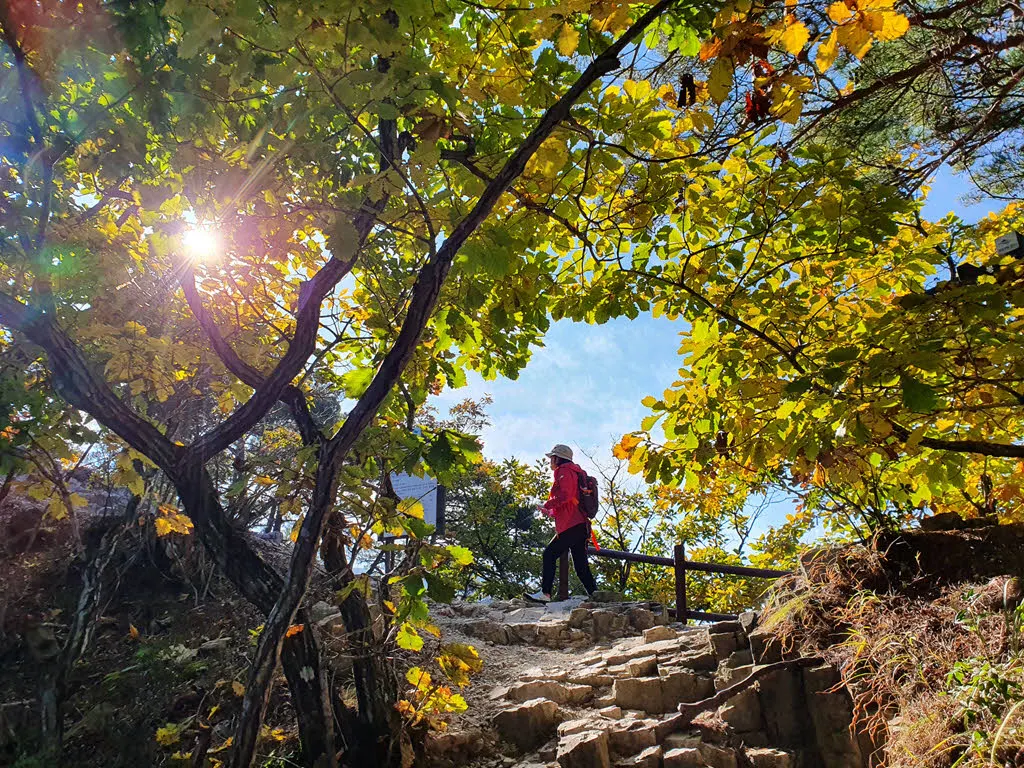 주봉가는 주왕산 주 능선에 오르다