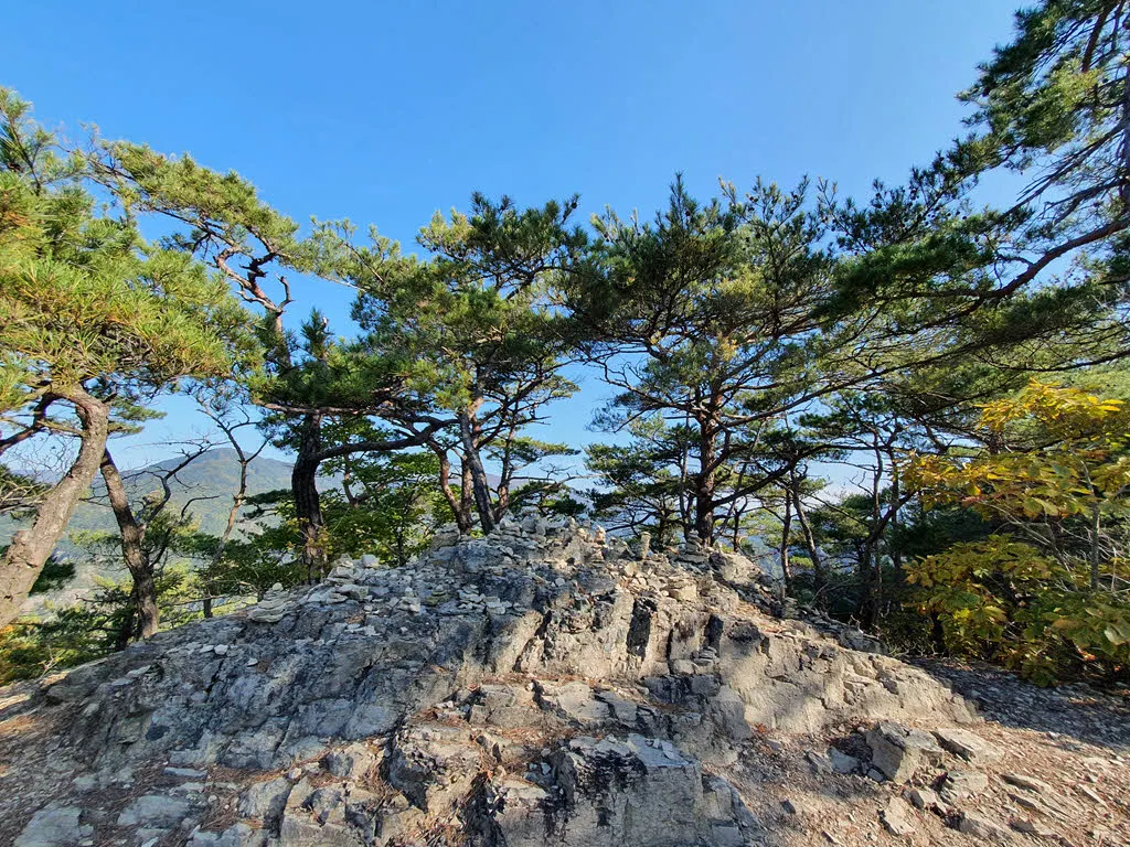 1년 내내 푸르는 소나무와 돌탑