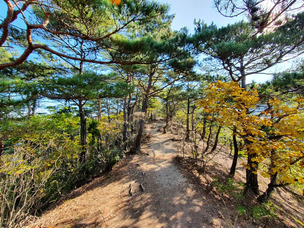 주봉으로 가는 능선길
