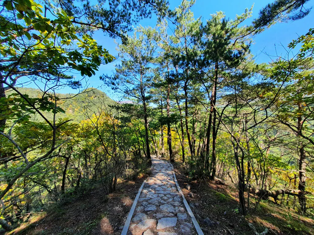 잘 정비된 능선길