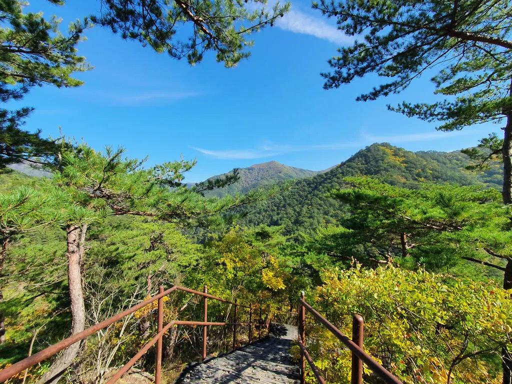칼등고개를 지나 후리메기 삼거리로 하산하는 길