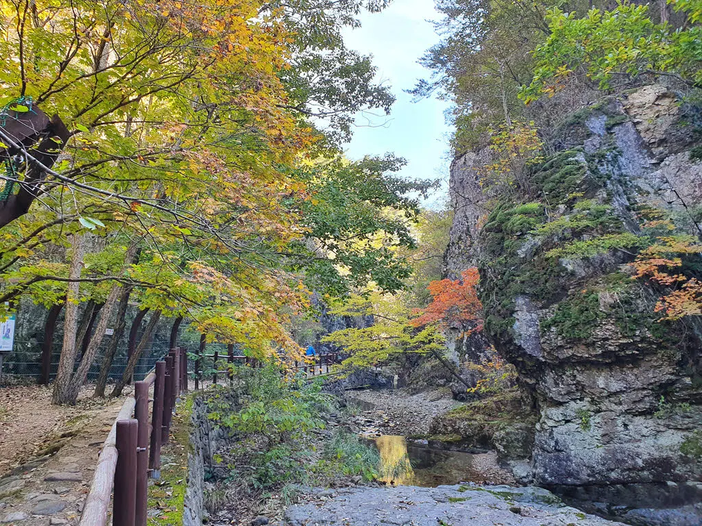 주왕산 절구폭포 가는 길