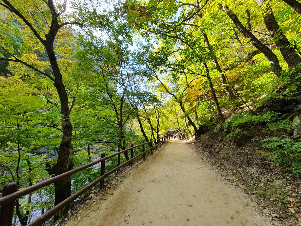 대전사로 가는 길