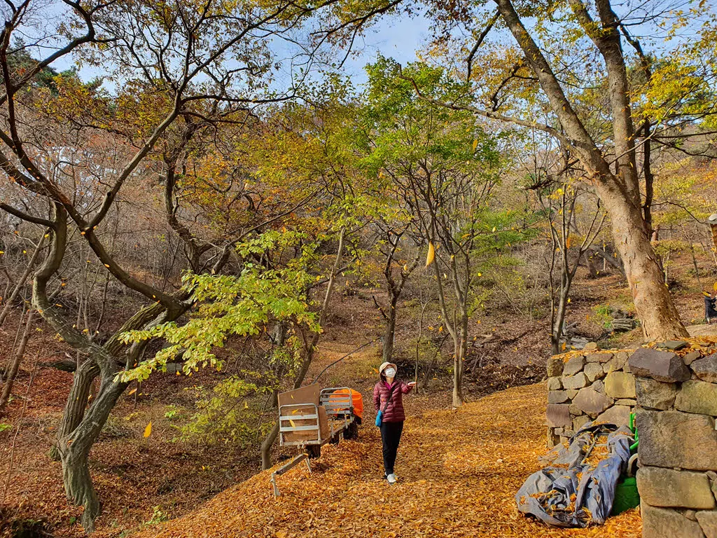 떨어지는 낙옆을 잡아봐~