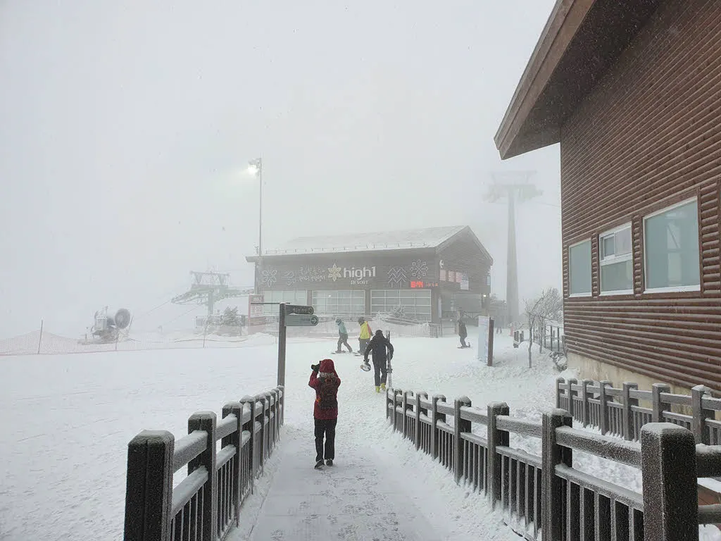 하이원리조트 곤돌라에서 하차하면 펼쳐지는 눈 세상 (하이원탑)