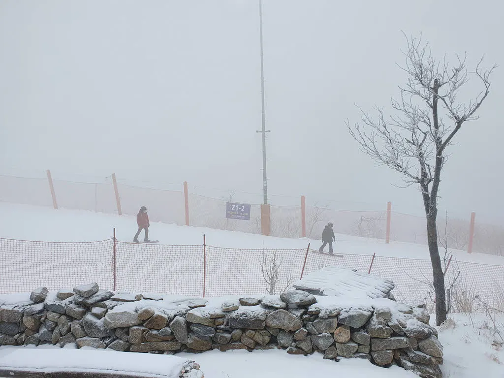 슬로프 옆 등산로로 백운산 마천봉을 향해 출발