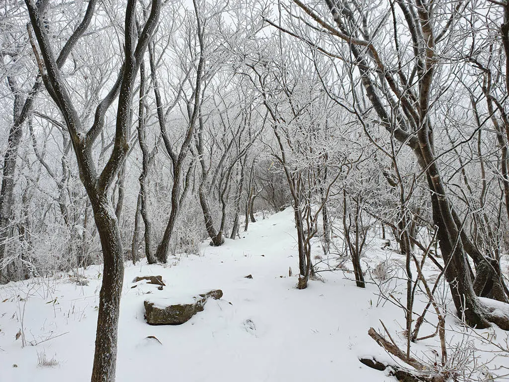 본격적인 산길 (고원길)