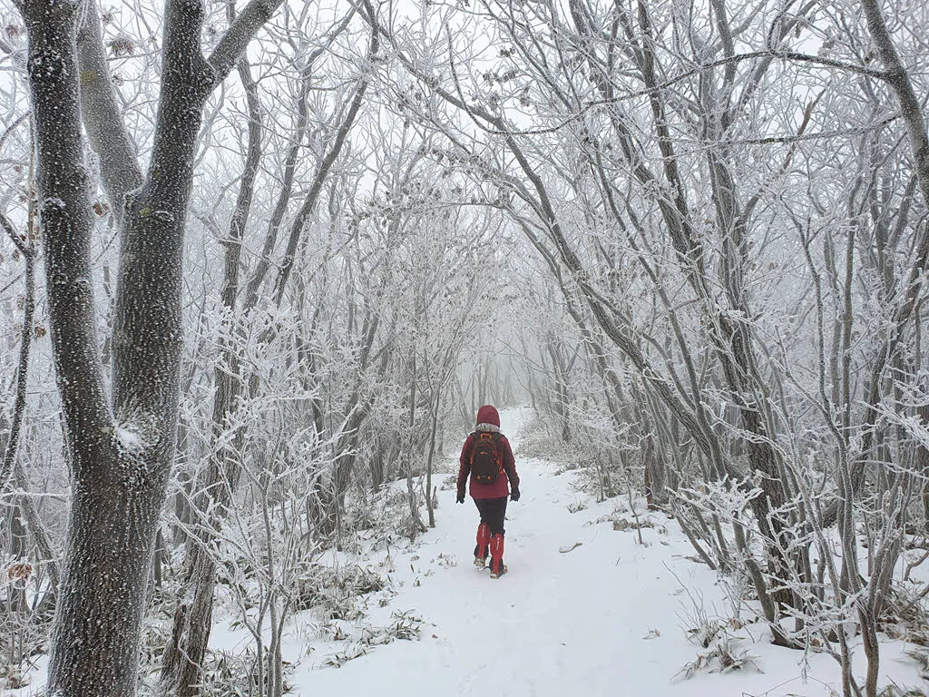백운산 눈꽃 트래킹