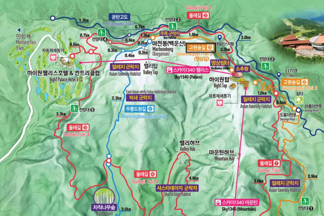 하이원 리조트 하이원탑에서 백운산 마천봉까지 이어지는 고원숲길