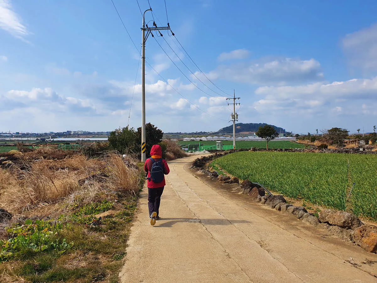 제주올레길12코스 초입