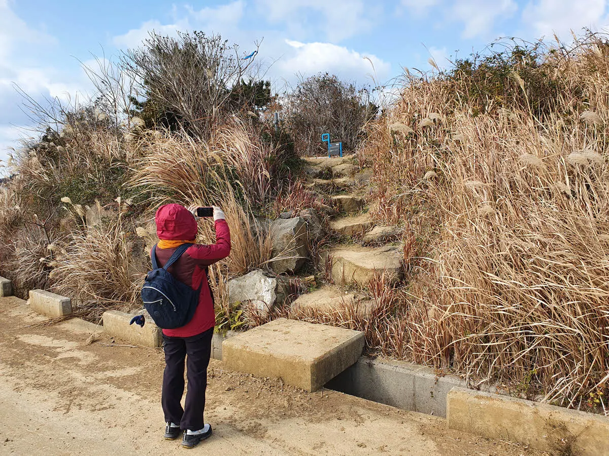 올레길12코스 신도연못 구간