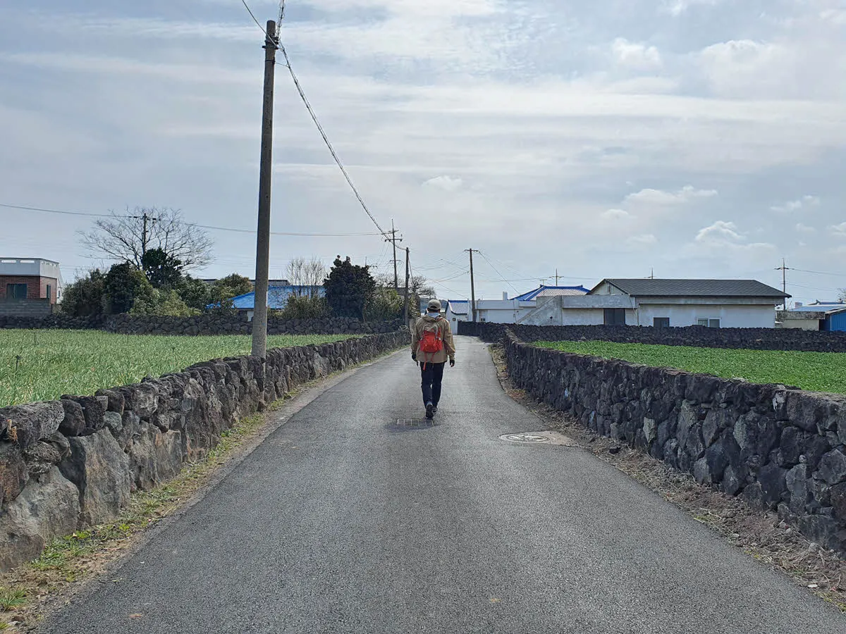 올레길 12코스 신도1리 구간