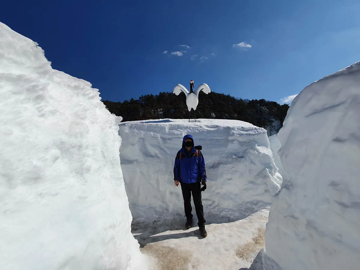 미로에서 길 찾기 시작