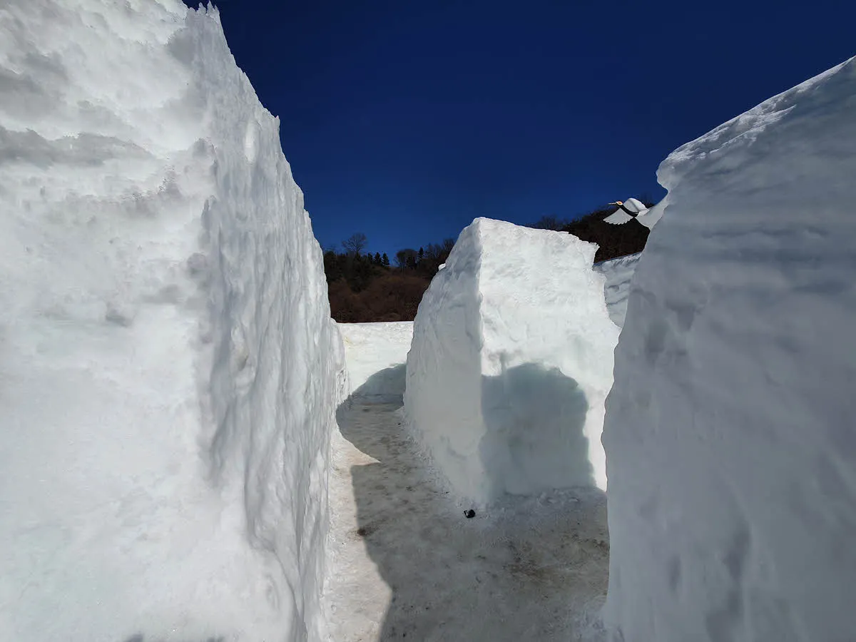 눈으로 만든 미로 속