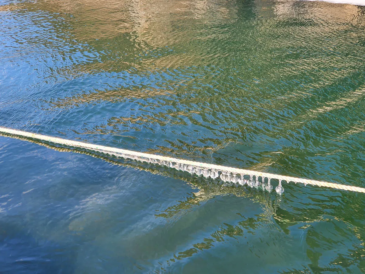 방울 모양 고드름