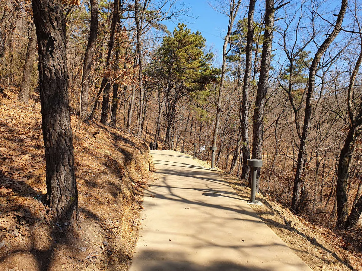 만수산 무장애 나눔길 초입의 포장로