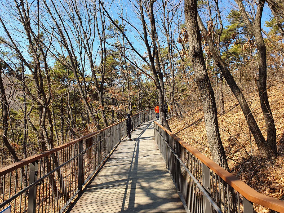 만수산 무장애 나눔길의 걷기 좋은 데크길