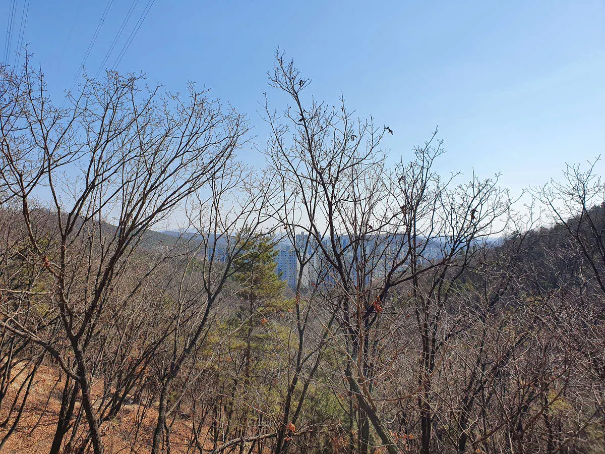 만수산 중턱에서 바라본 풍경