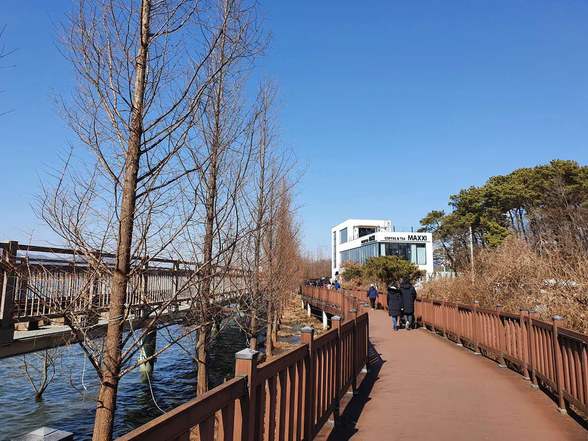 왕송호수의 카페 막시