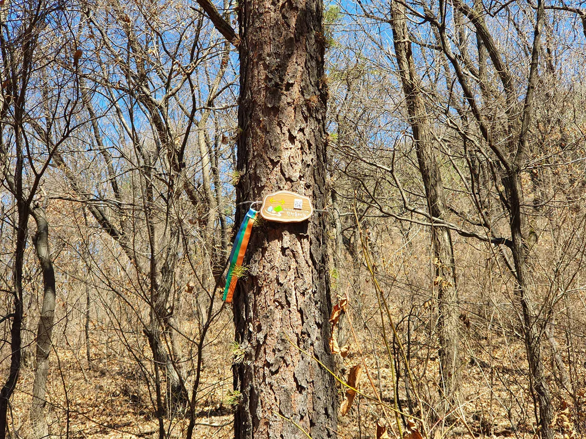 인천둘레길 표식