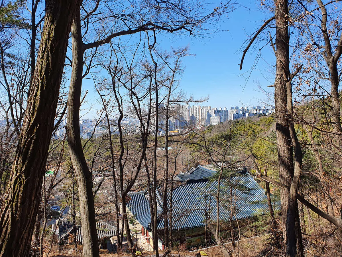 약사사를 오른쪽에 두고 산길로 걷는다