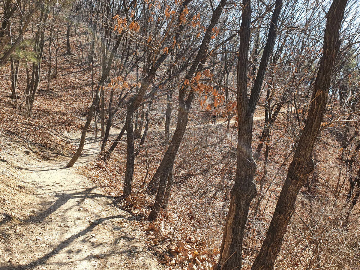 인천둘레길 만월산 구간