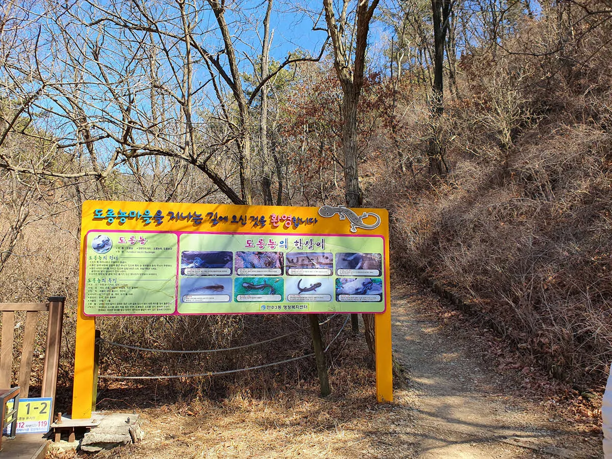 만수산 도롱뇽 마을