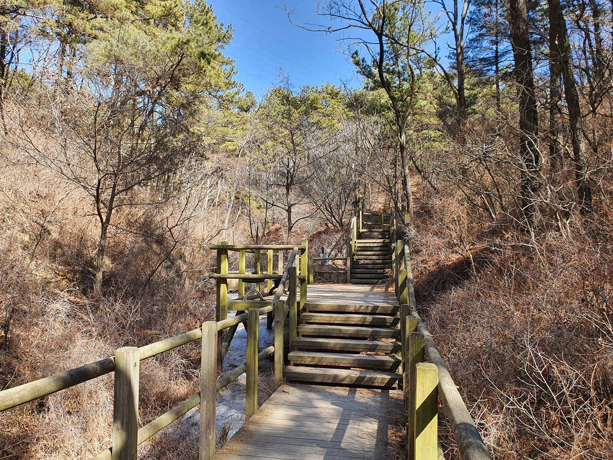 도롱뇽 서식지를 지난다.