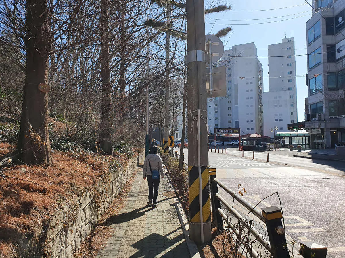 인천대공원으로 이어지는 도로