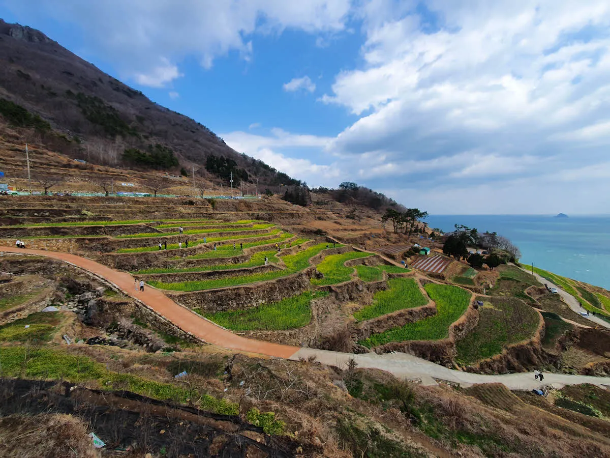 다랭이 마을 다랭이논