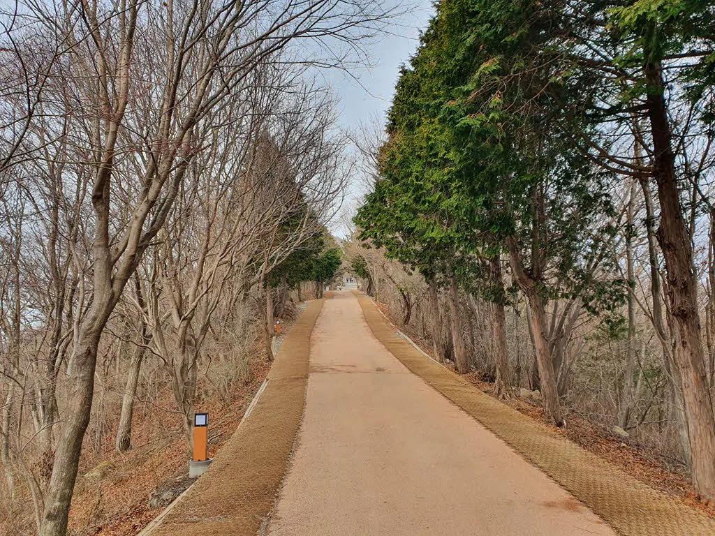 금산 정상가는 능선길