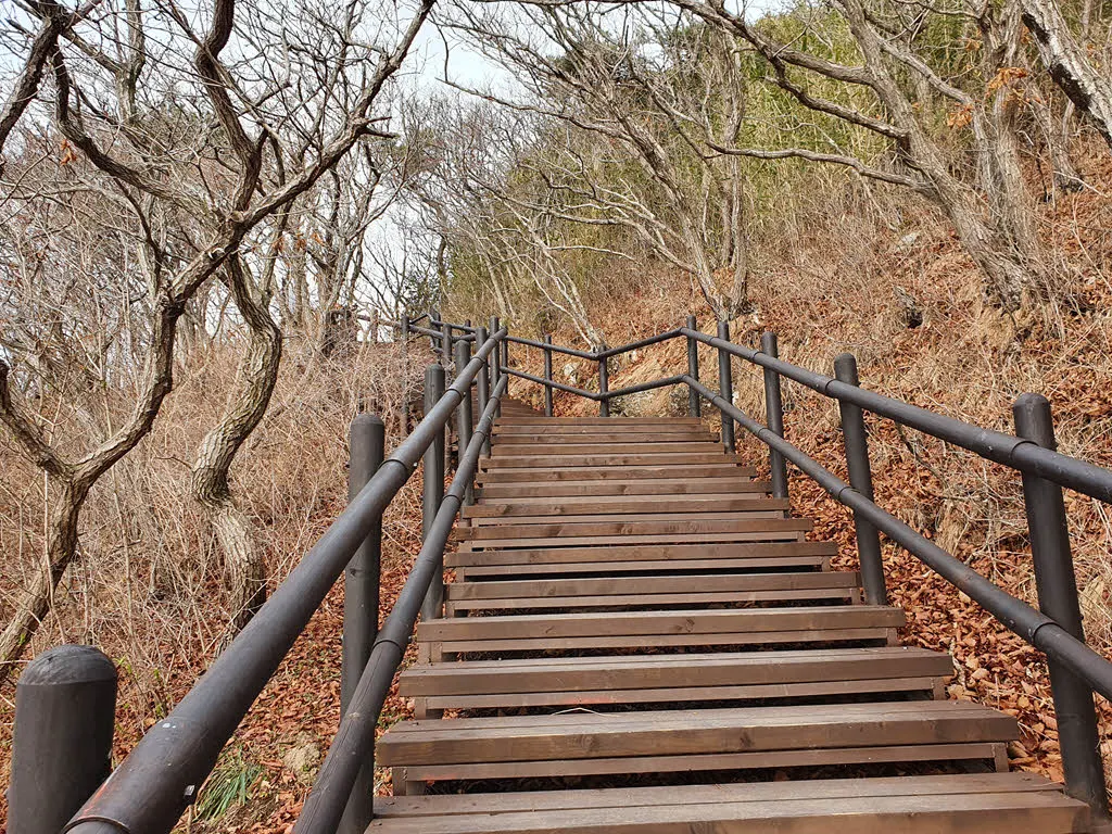 기념품 판매점이 있는 공터에서 금산 정상과 금산산장 가는 계단길