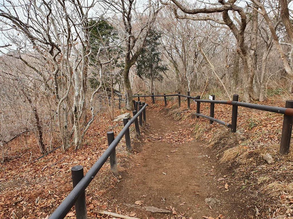 금산산장으로 가는 길