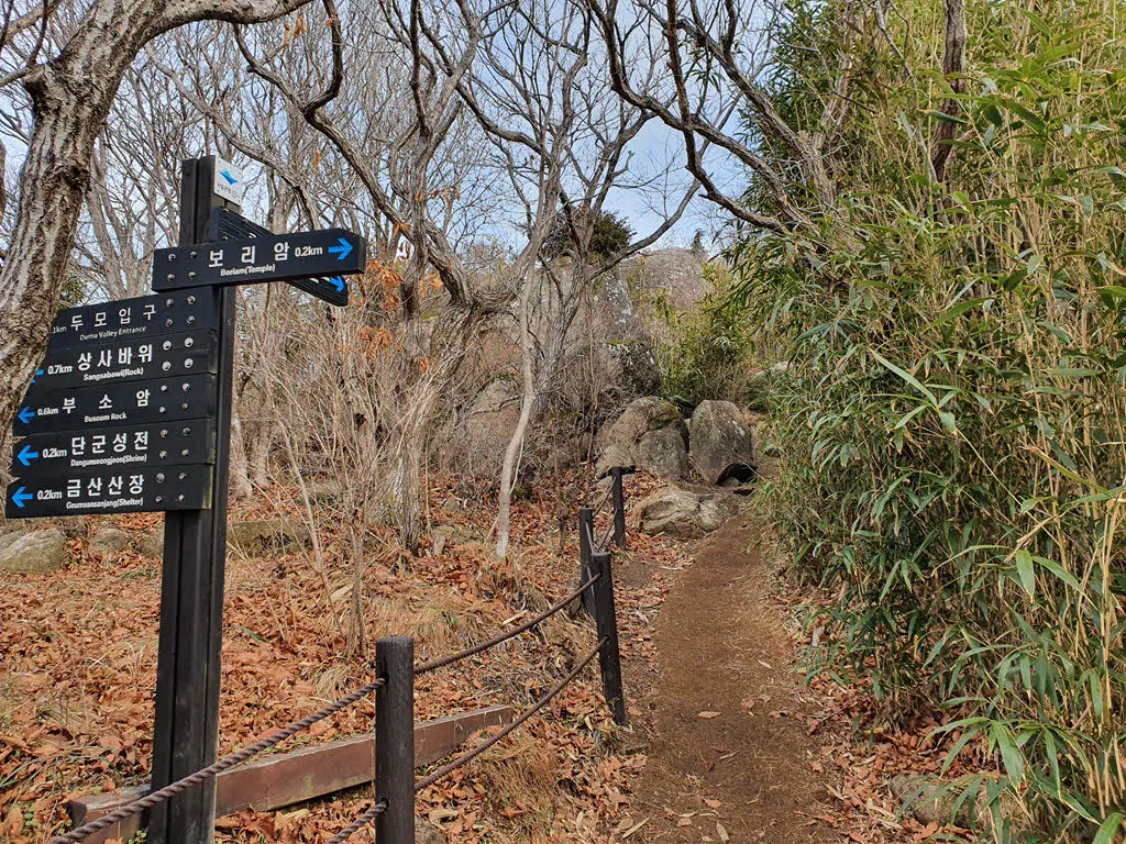 금산 정상 가는 길