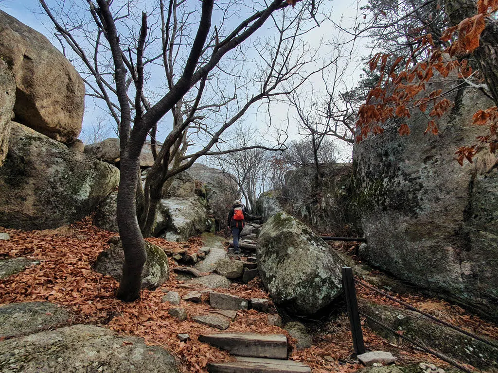 금산 정상부의 화강암 바위들