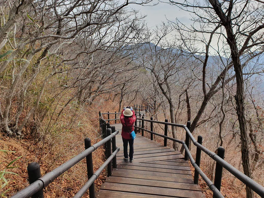 기념품 판매점이 있는 공터로 내려가는 길
