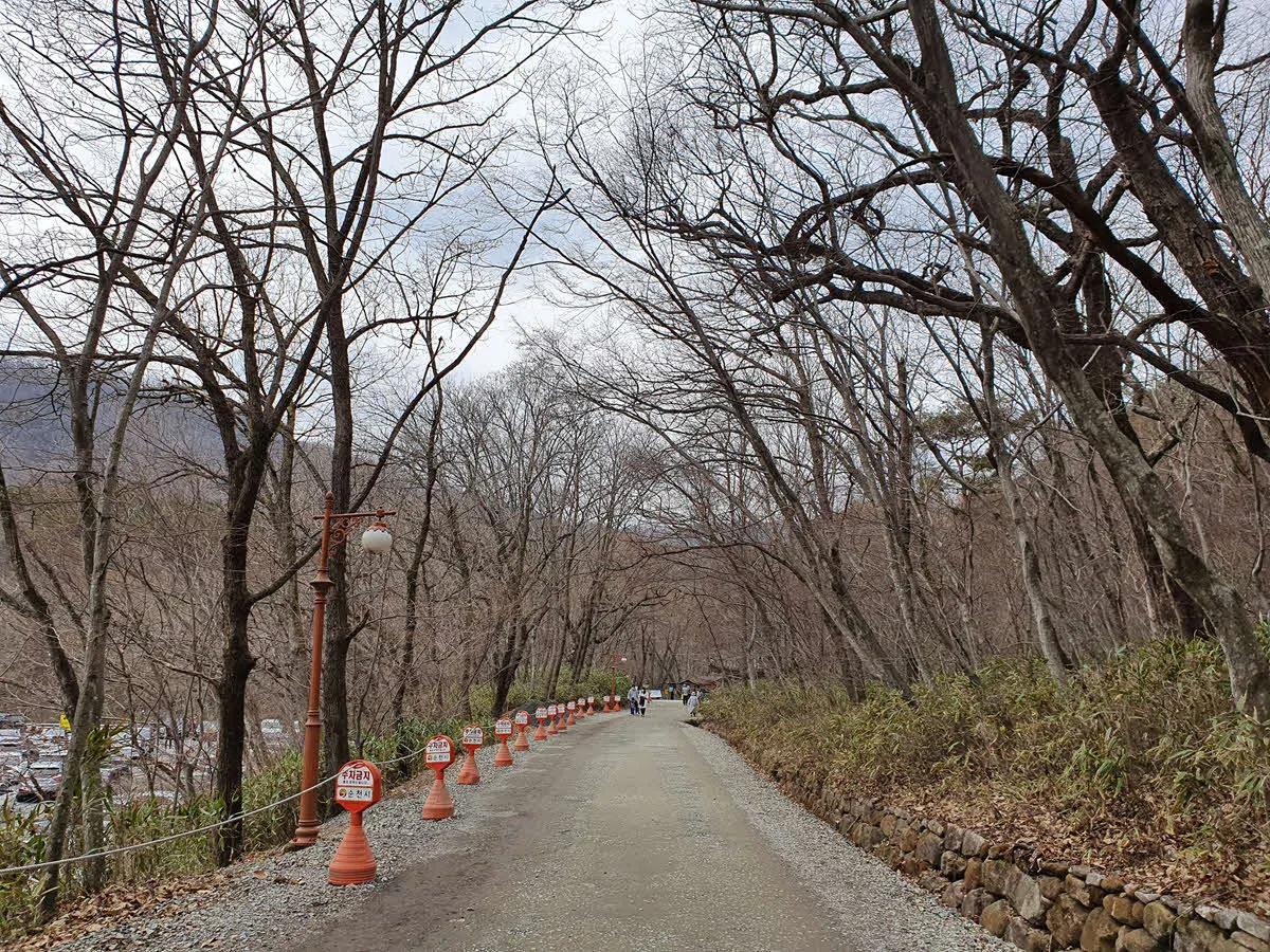 선암사 입구 진입로