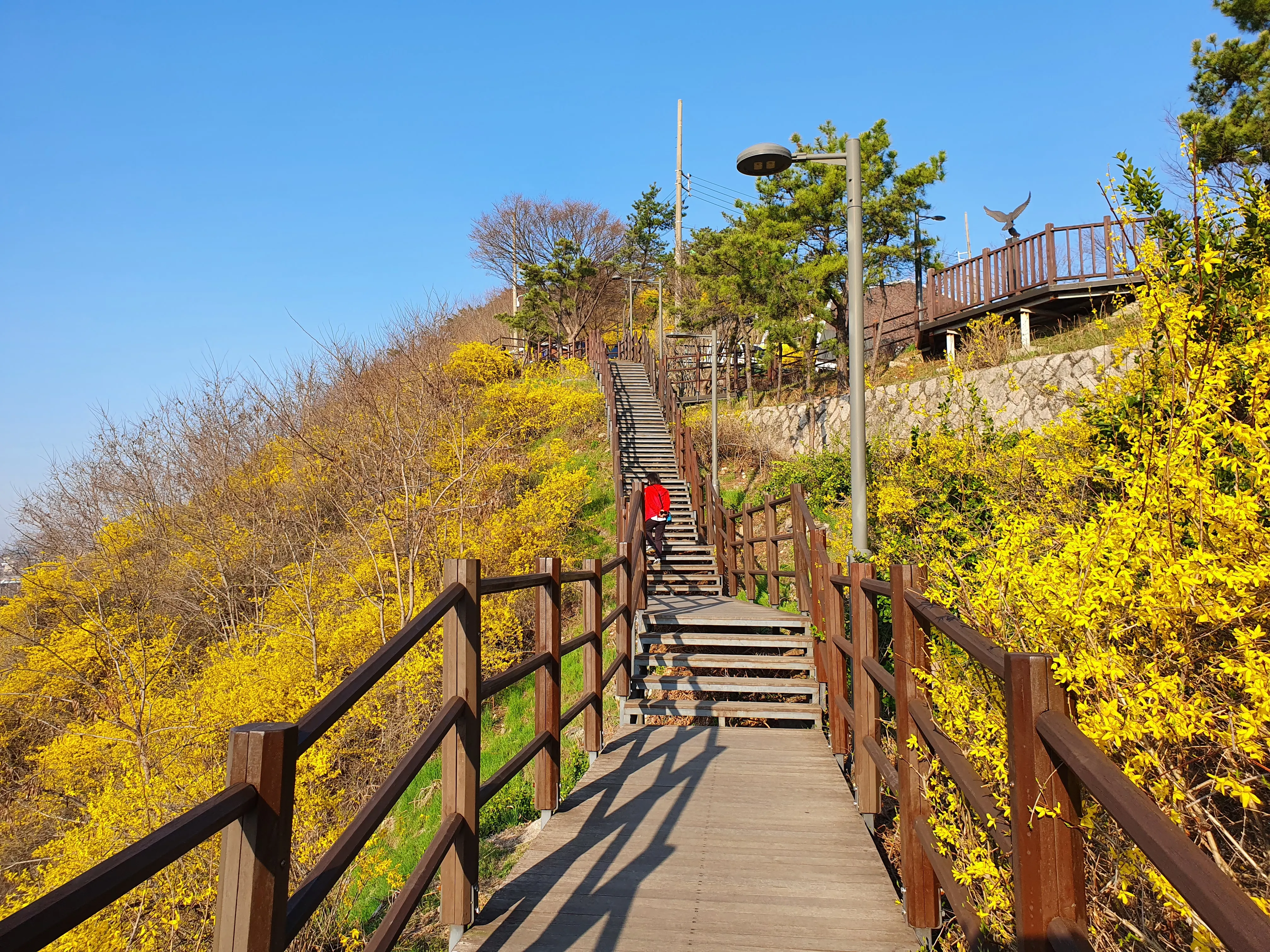 응봉산을 오르는 산책로