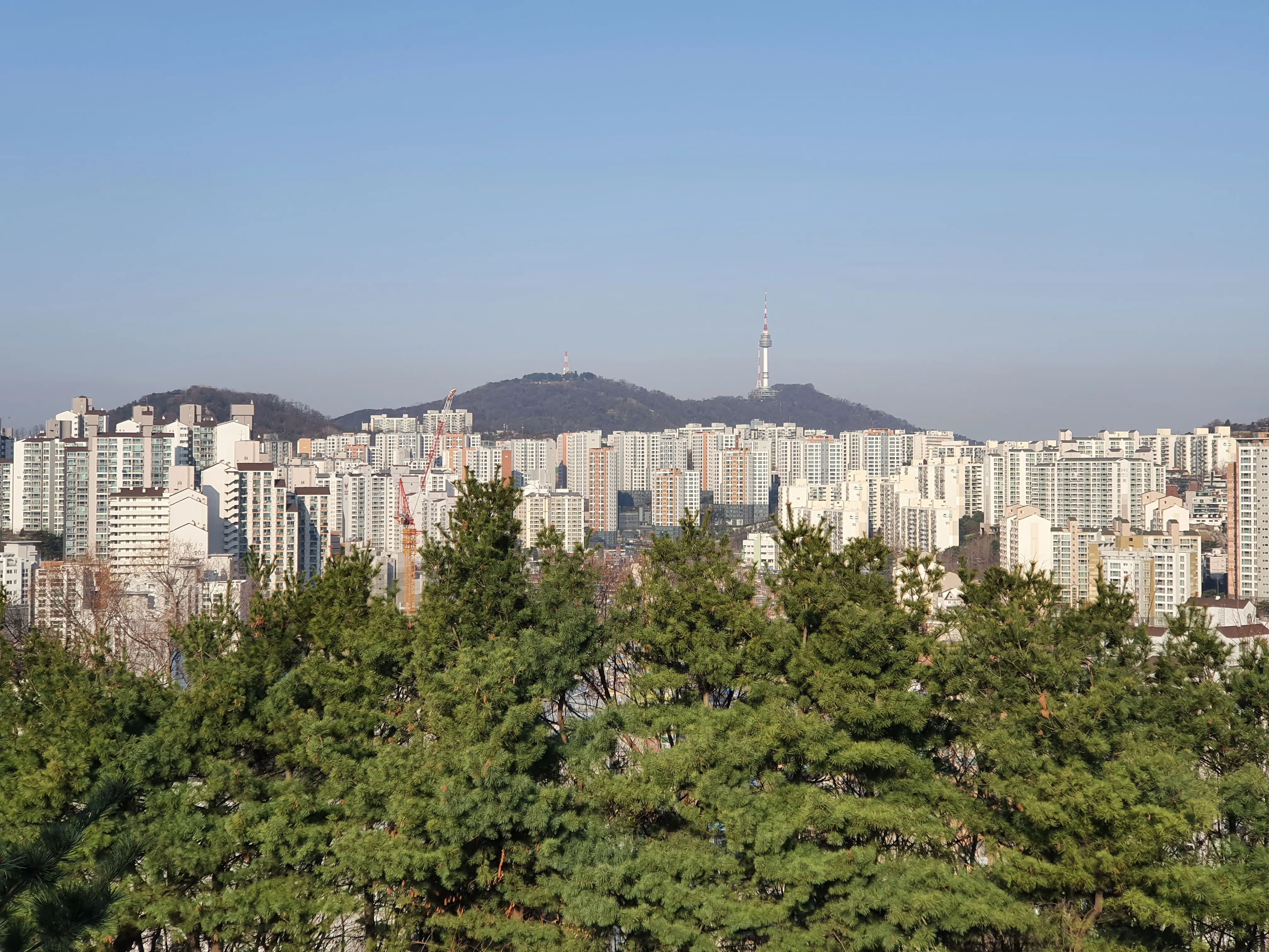 응봉산에서 바라본 남산