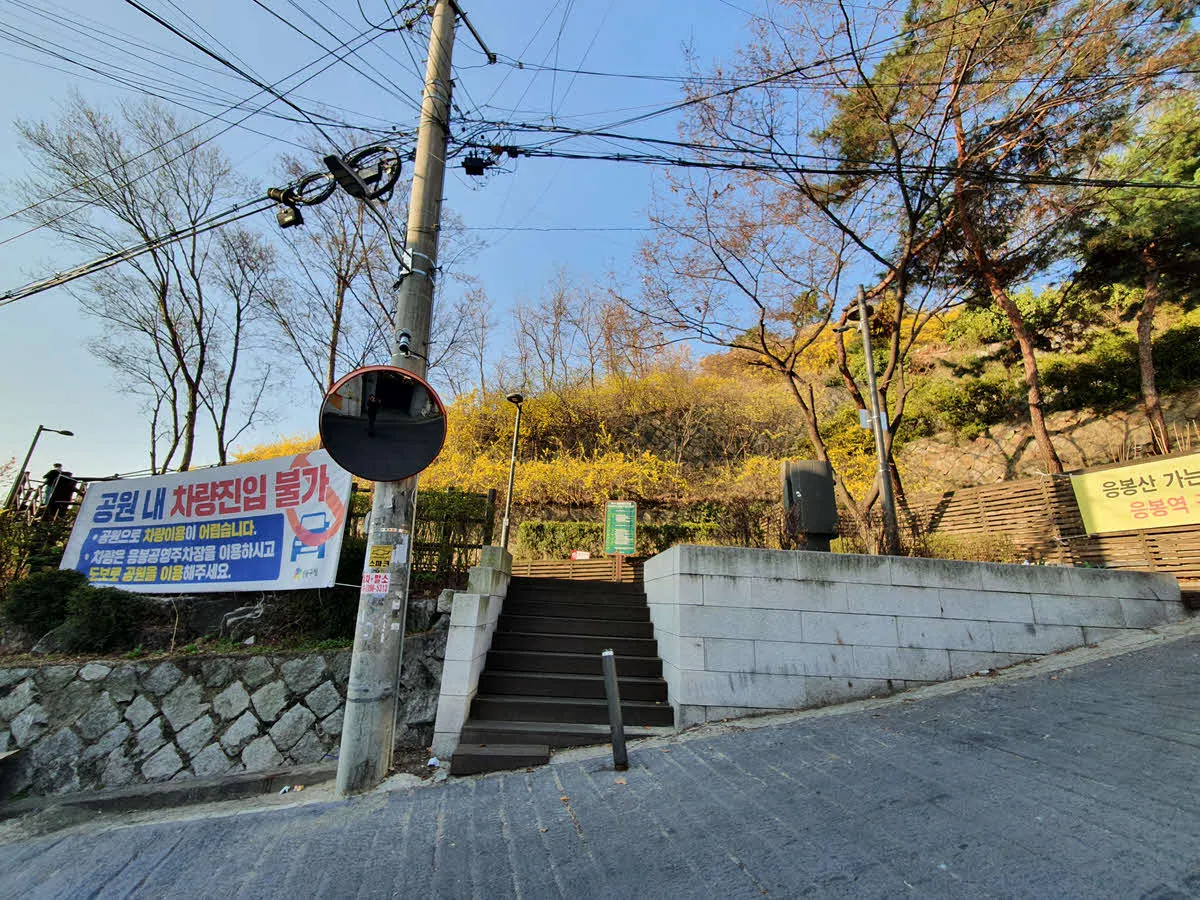 응봉산 산책로 입구