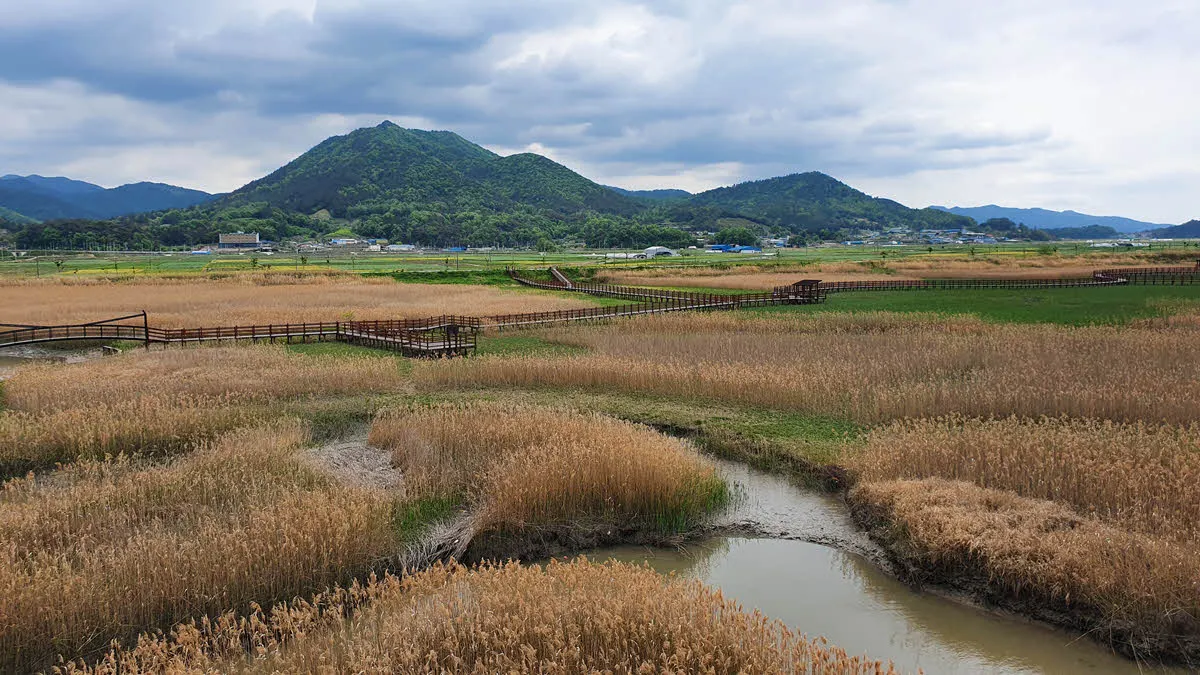 강진만 생태공원 전경