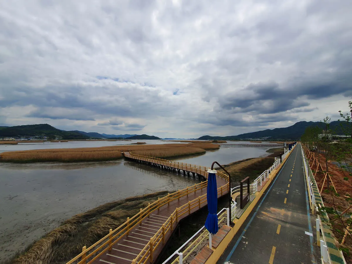 강진만 생태공원 전경