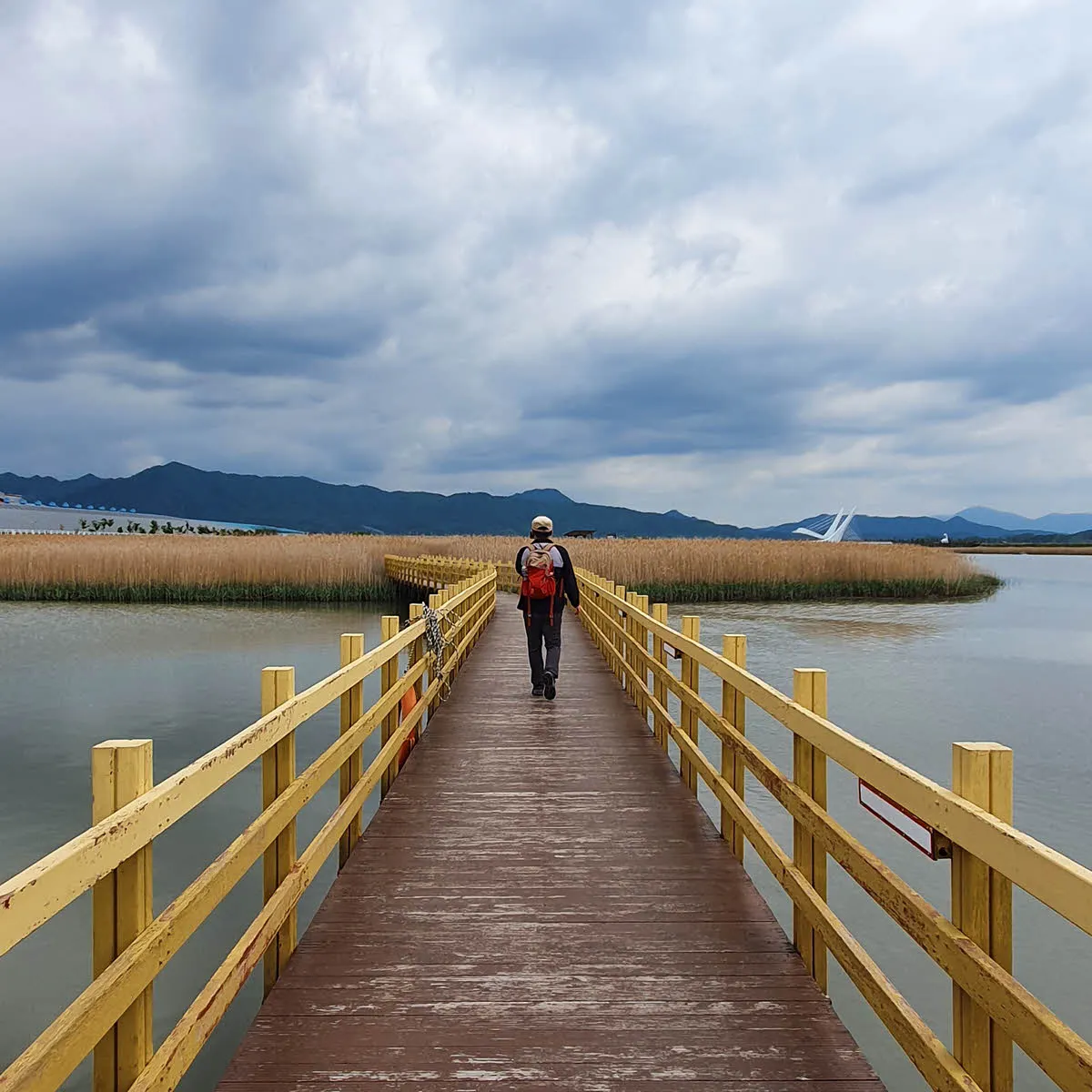강진만 생태공원 데크길