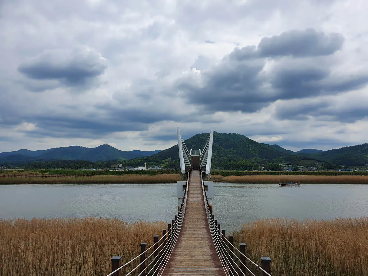 강진만 생태공원의 고니다리