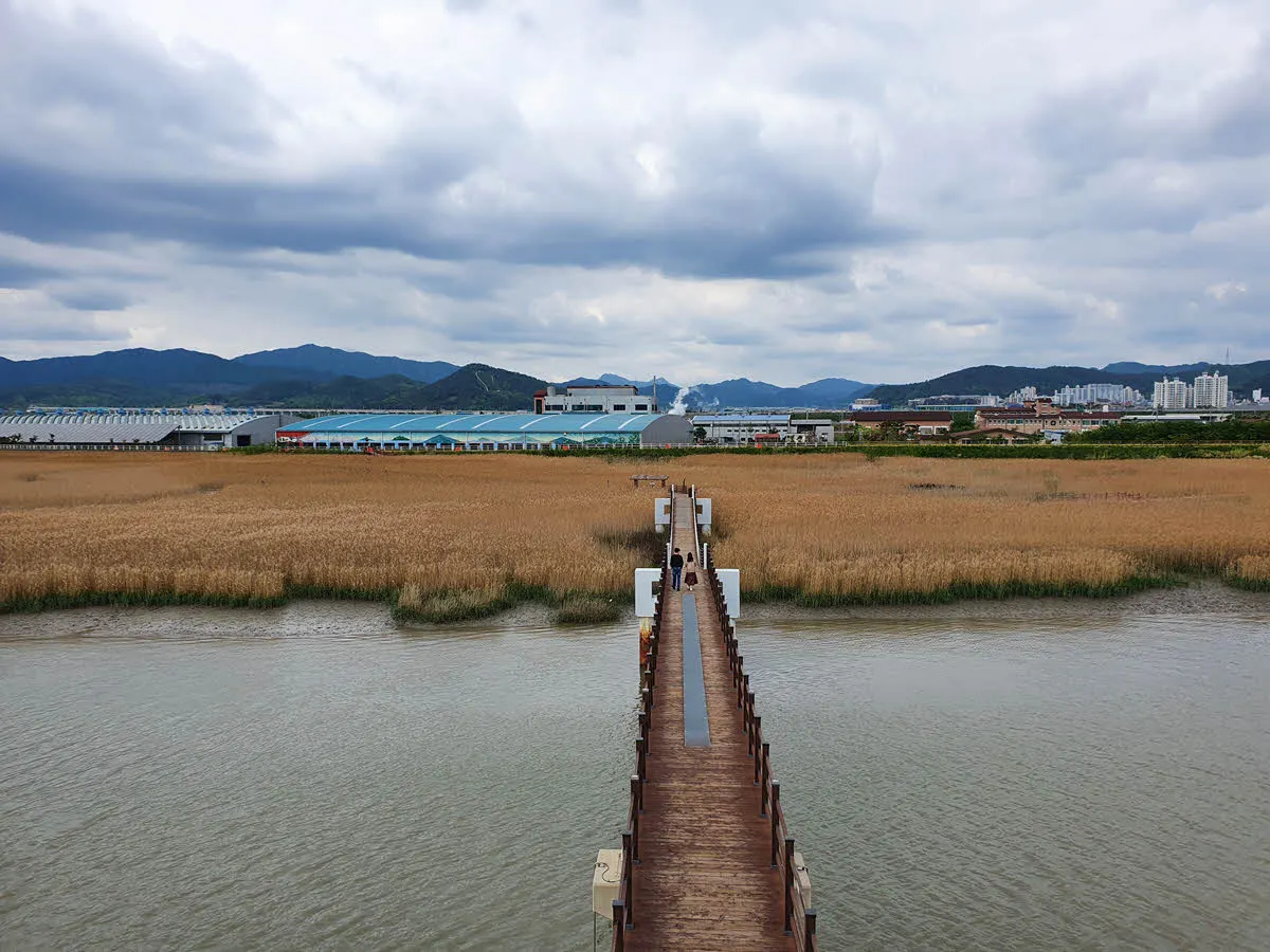 고니다리를 건너는 데이트 커플