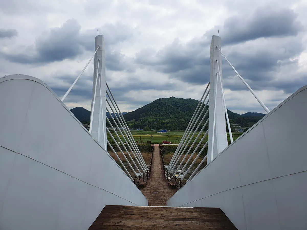 강진만 생태공원 고니다리 전망대
