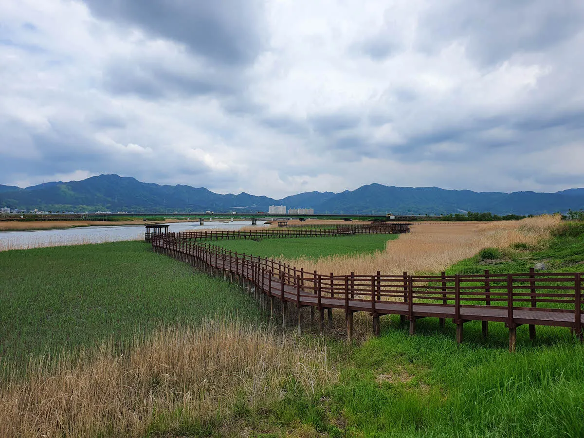 강진만 생태공원 습지 데크길