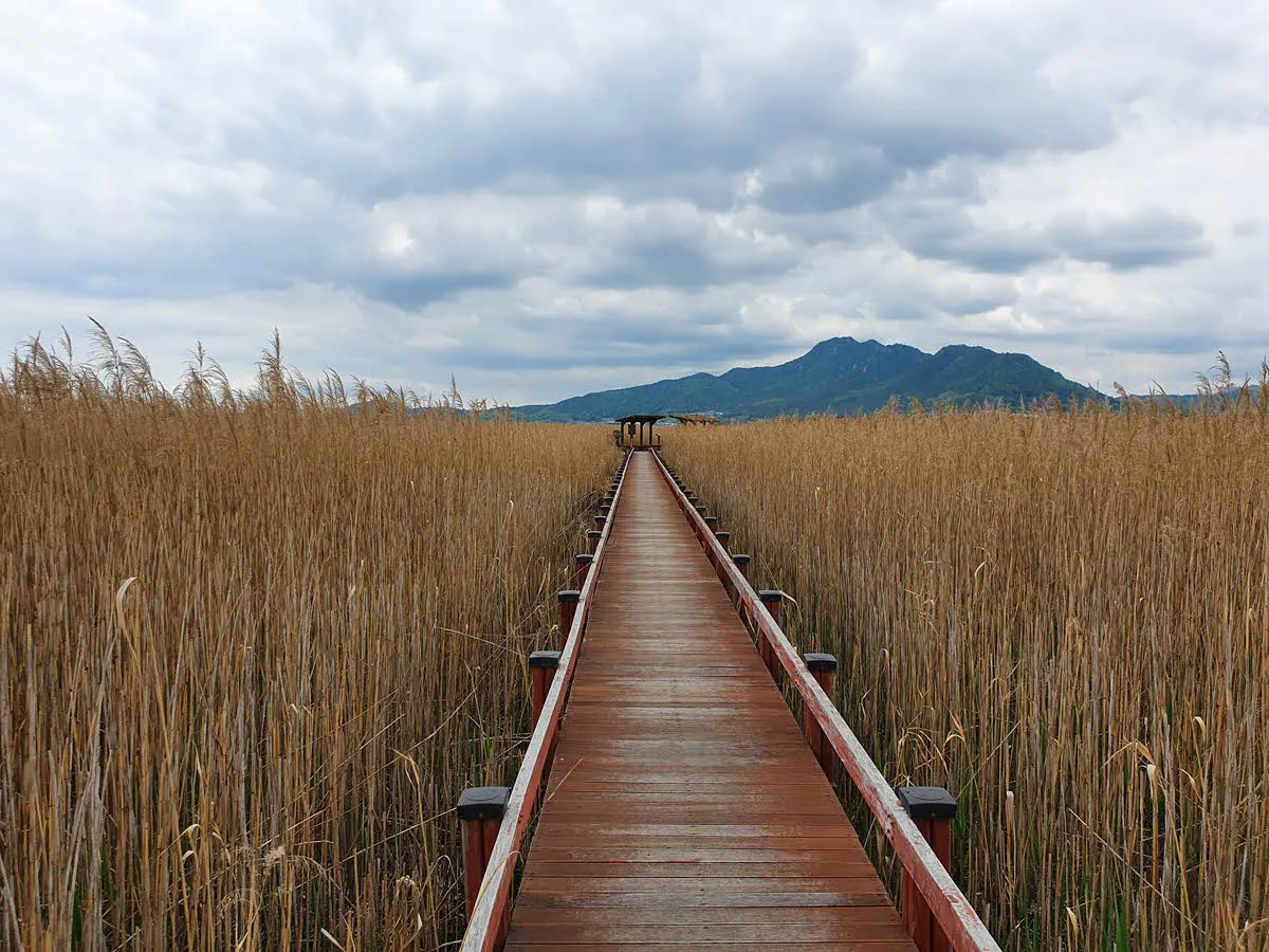 강진만 생태공원 생태탐방로