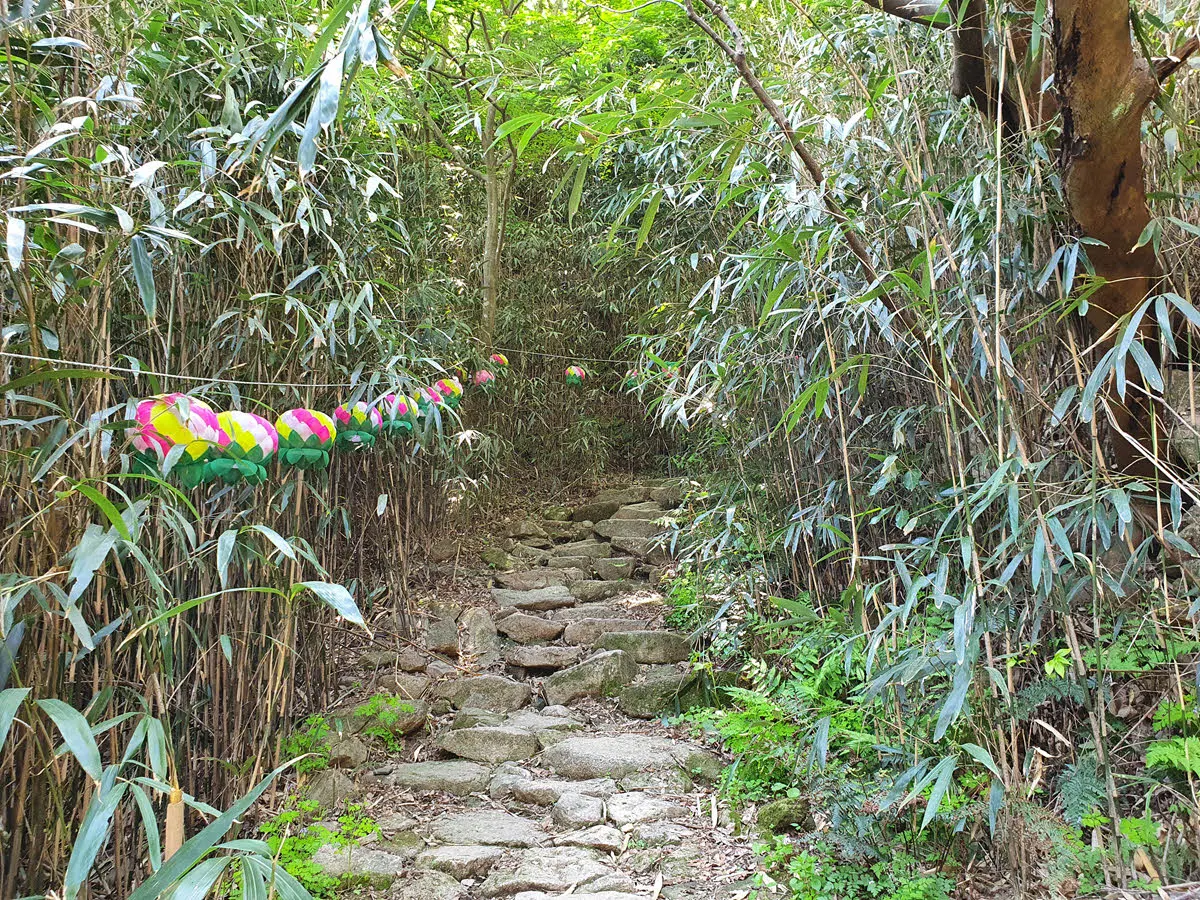 월출산 천황사 가는길