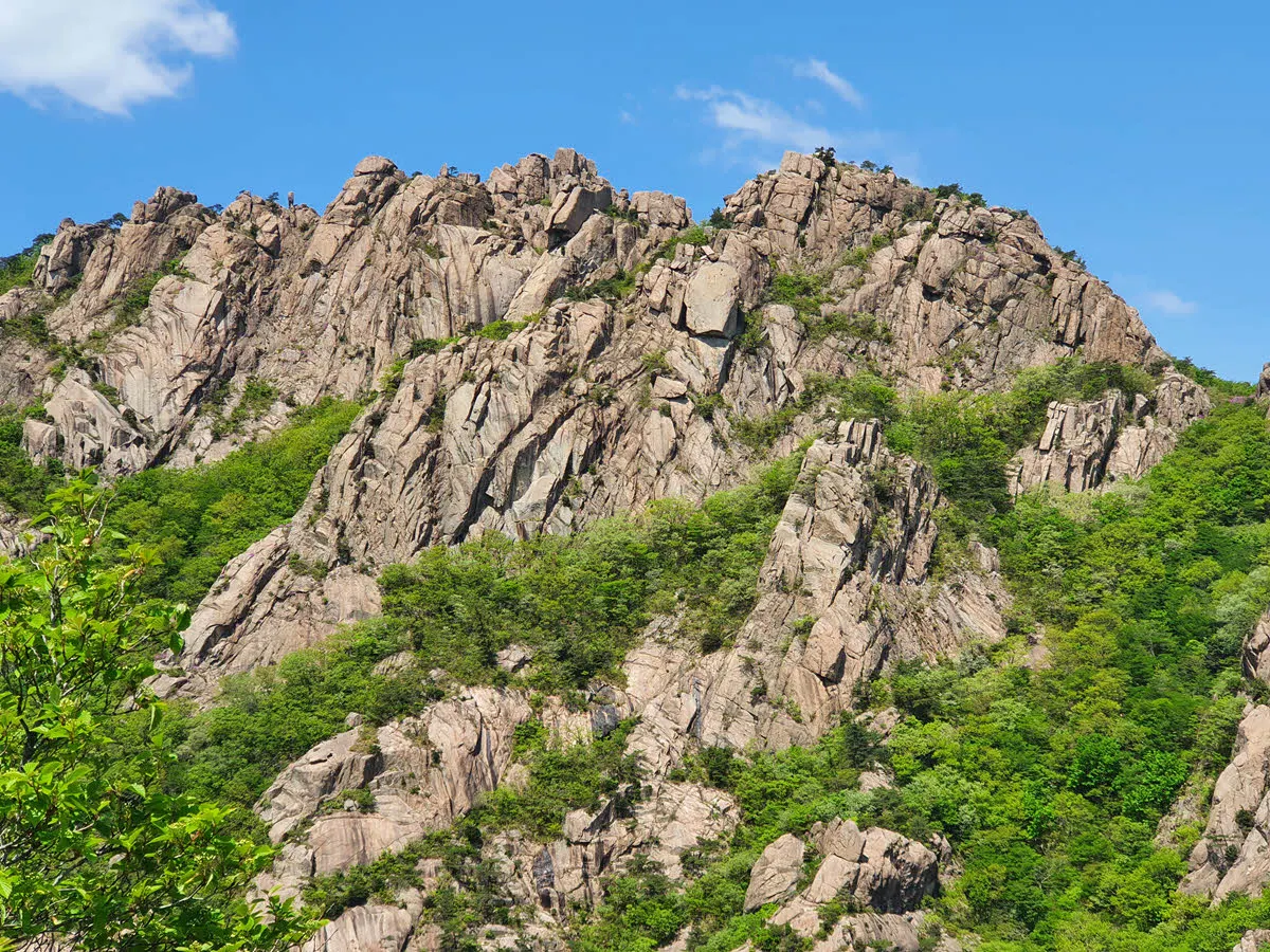 월출산 육형제 바위